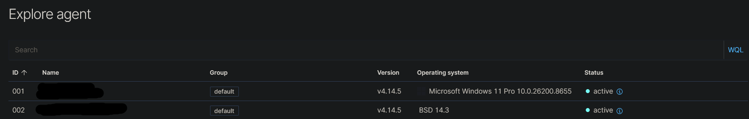 Wazuh agents list showing the Windows endpoint and OPNsense connected and active